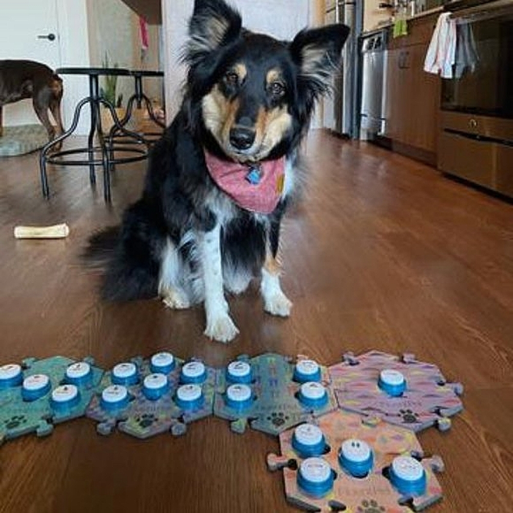 Fluent Pet Button (Great Gift for Pet Owners!) - Picture 9 of 13